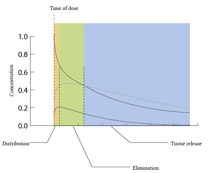 Single and multiple compartment models of drug distribution Deranged